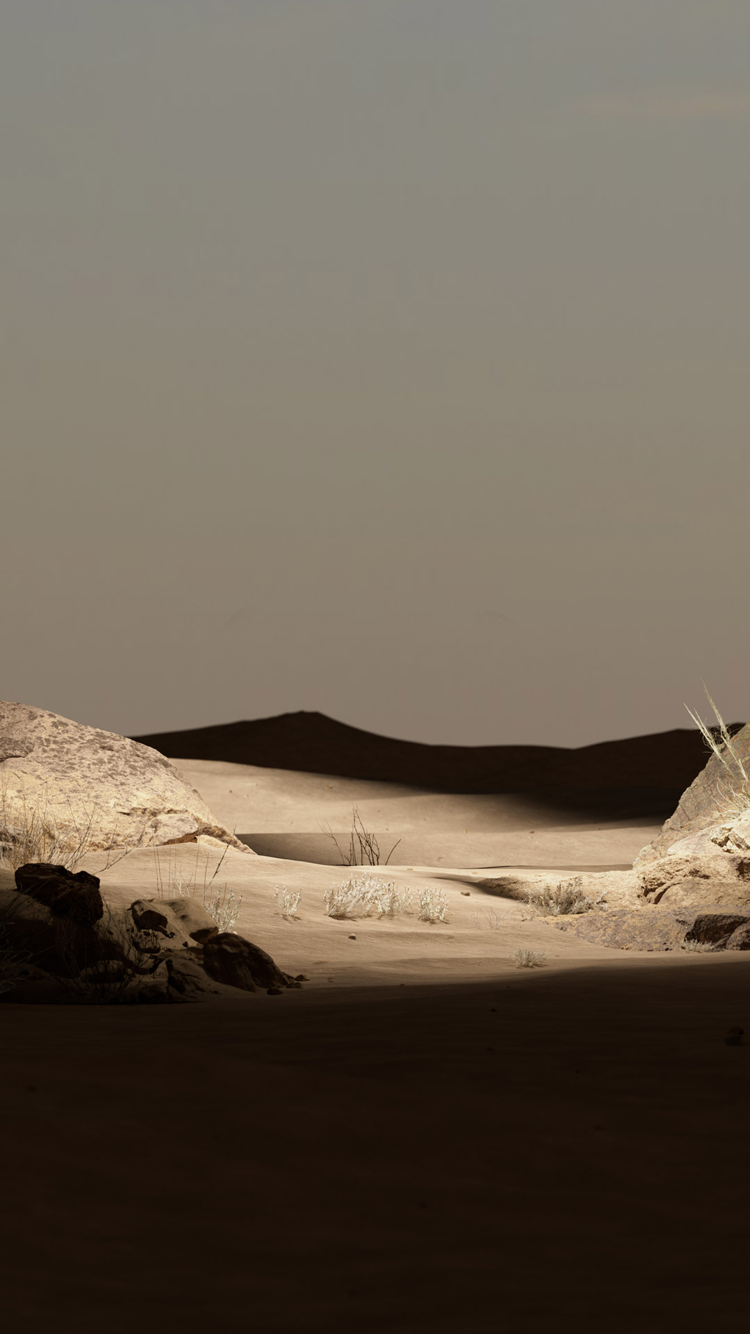 05_Bike_PrincipalMARRON_V2_MitadCosas_Escenario-1